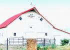 Article Image Alt Text